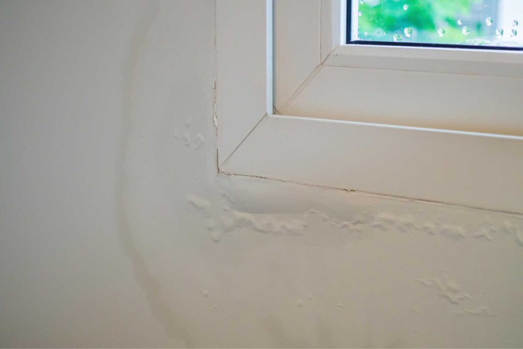 Top DIY Solutions for Flood Water Removal