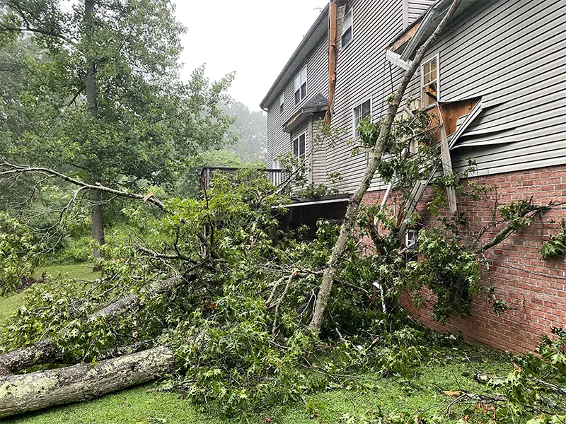 Storm damage restoration services